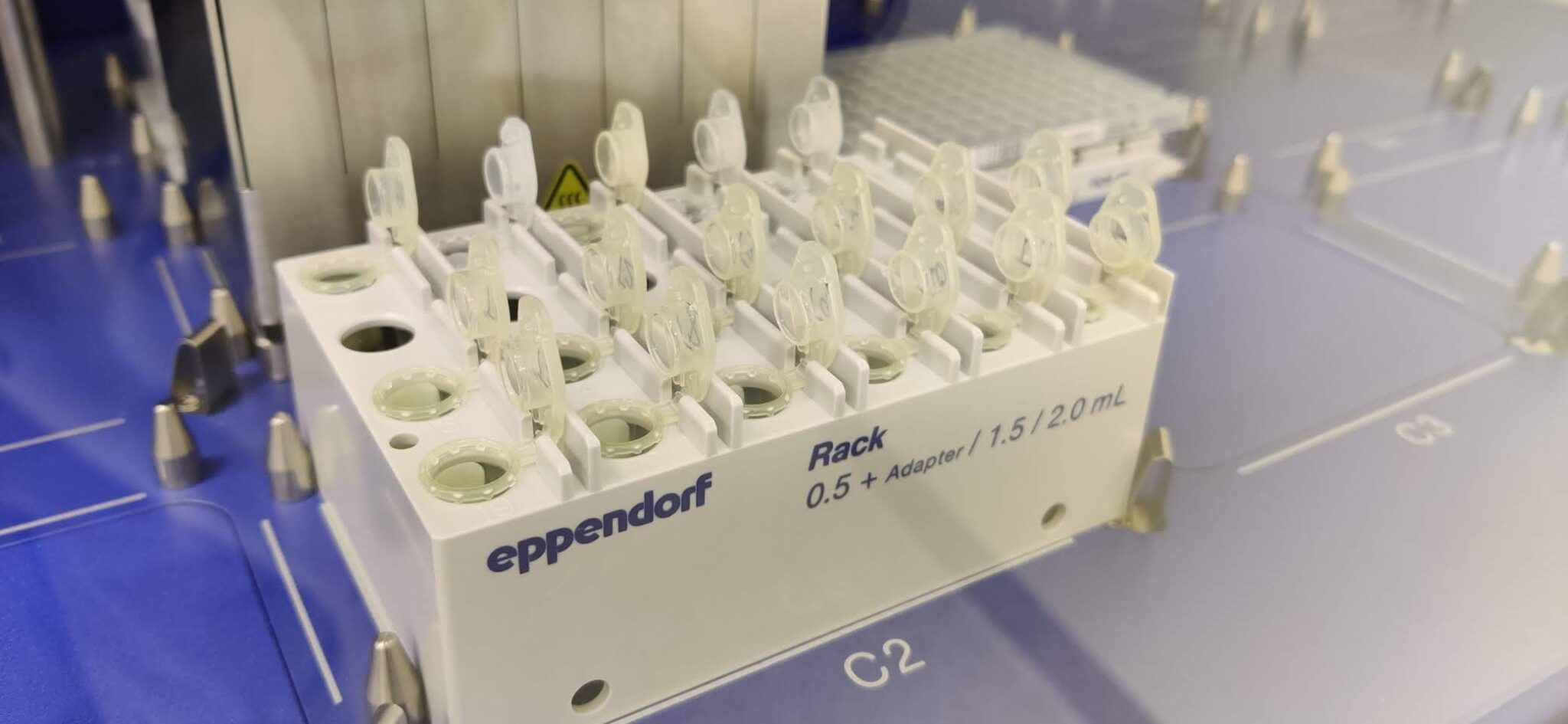 An Eppendorf robot deck: a white Eppendorf rack of small tubes with their lids flipped open at deck position C2, a 96-well plate behind it, and pipette tips staged across the blue deck